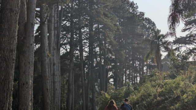 Every Dollar on Mission: How Healthy Churches Align Money with Calling